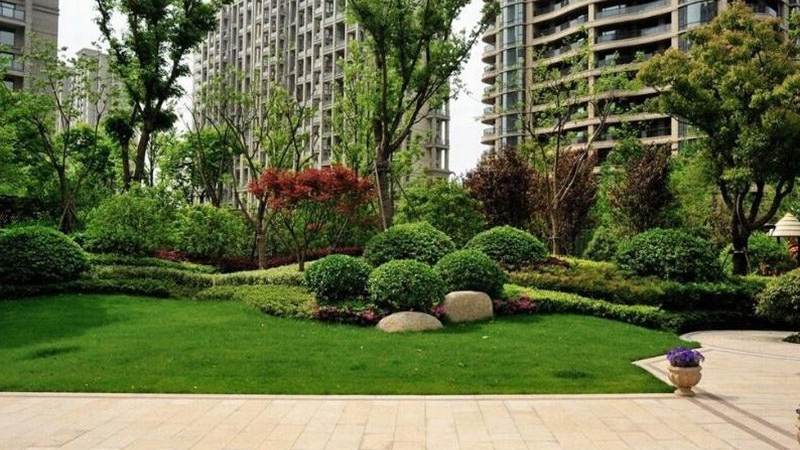球速体育 新闻资讯 社区运营观察配图